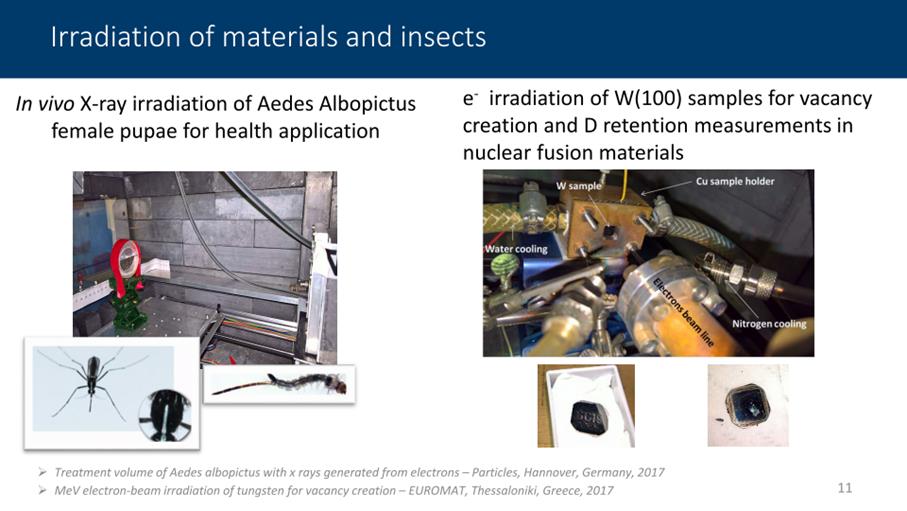 Irradiation of  insects