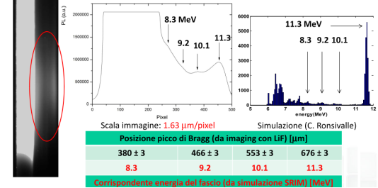 LIF measurement